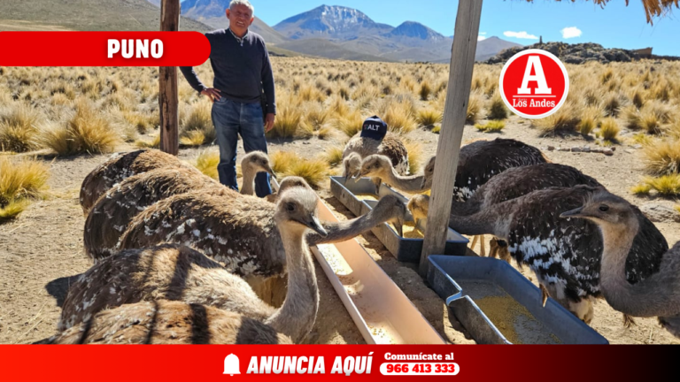 Suri en riesgo de desaparecer por falta de presupuesto para su conservación