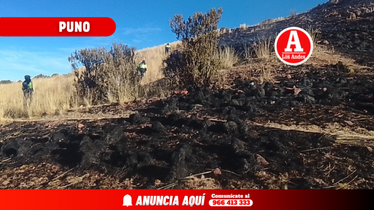 Controlan incendio forestal en zona de bosque en Juliaca