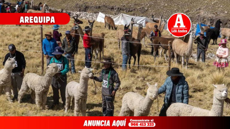 Caylloma celebrará el Día del Campesino con feria agropecuaria y cultural