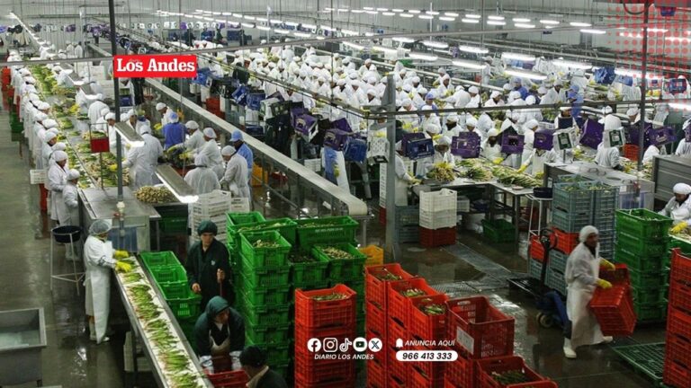 Puno y Juliaca en alto riesgo laboral