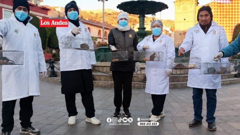 Capturan más de 25 roedores durante operativo en la Plaza Mayor de Puno