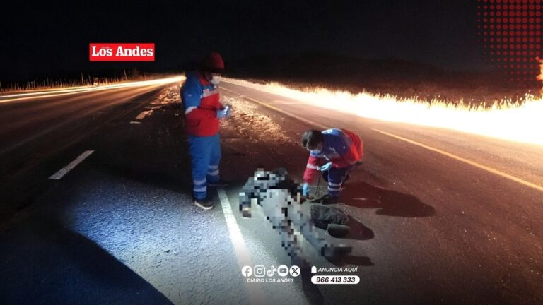 Motociclista muere tras chocar contra  tractor en la vía Puno-Laraqueri