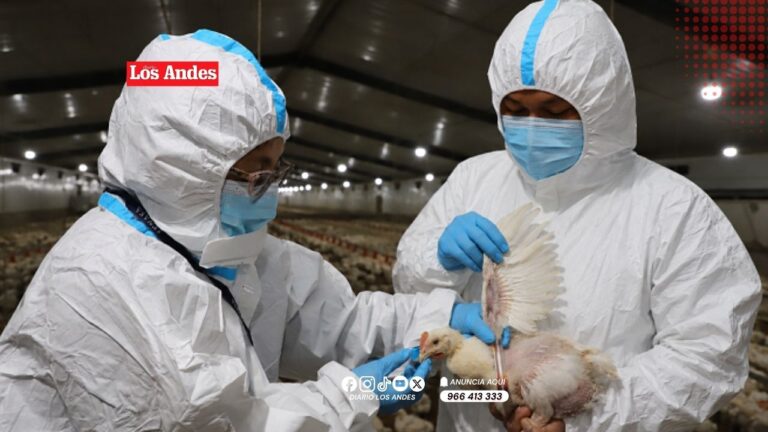 SENASA declara emergencia sanitaria preventiva por casos de influenza aviar