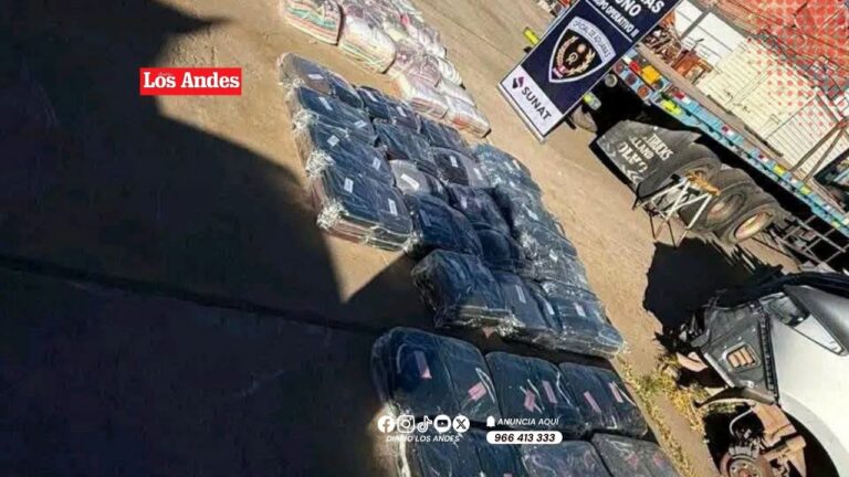 Incautan mercancía de contrabando valorizada en más de S/ 121 mil en Puno