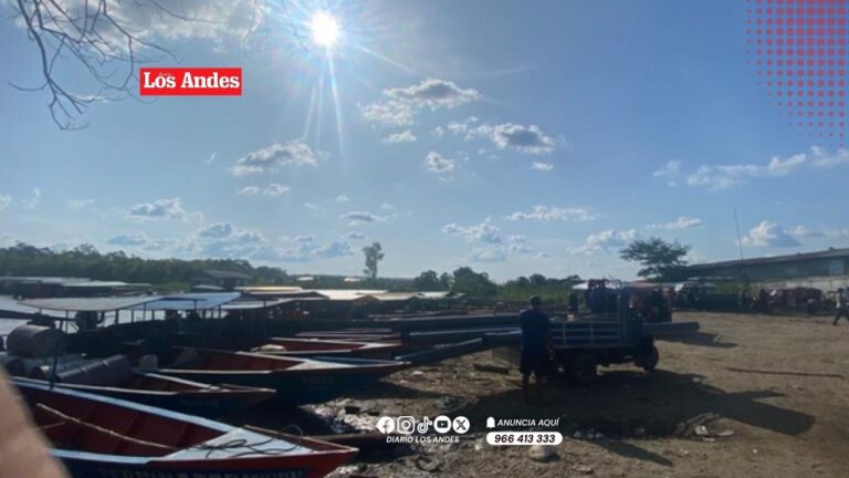 Selva puneña soportará temperaturas de hasta 35 °C