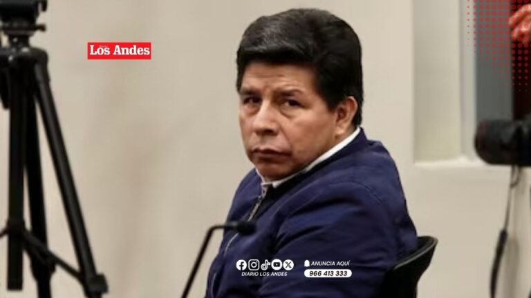 Grupo de Trabajo de la ONU señala que detención de Pedro Castillo fue arbitraria