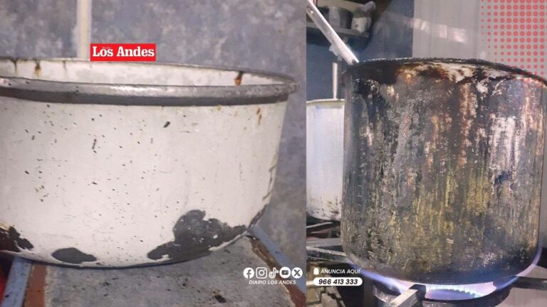 Operativo en Ilave detecta alimentos vencidos y locales sin licencia