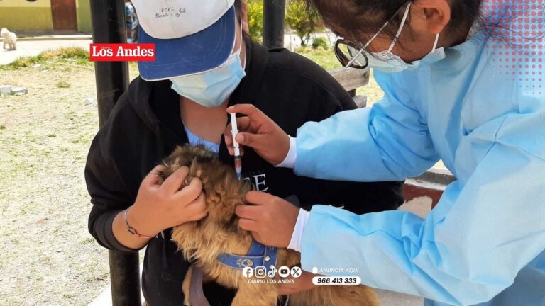 Más de 33 mil perros serán inmunizados contra la rabia en la provincia de Puno