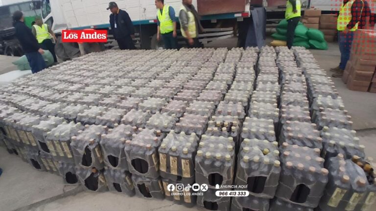 Incautan mercadería de contrabando valorizada en más de S/446 mil en vía Desaguadero-Puno