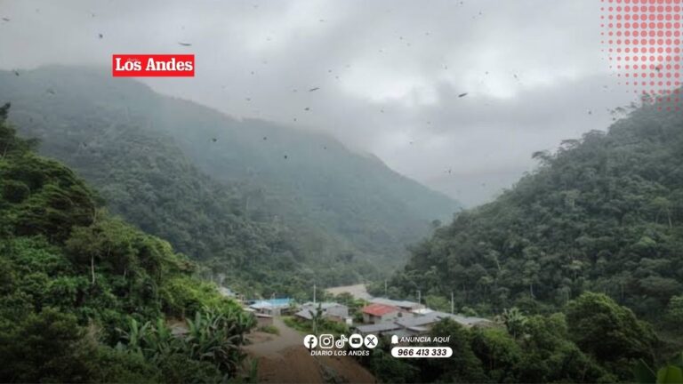 Incremento de vientos de hasta 50 km/h afectará la selva puneña hasta el 3 de julio