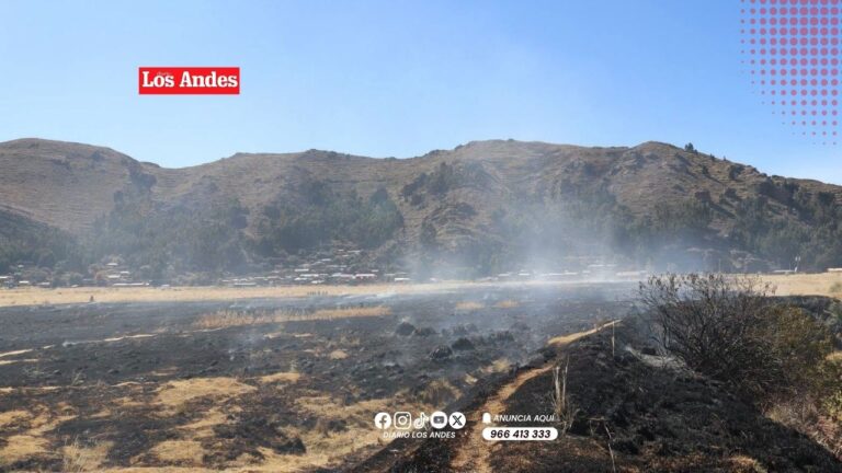 Incendio en Vilquechico deja más de cuatro hectáreas de cultivos y pastizales