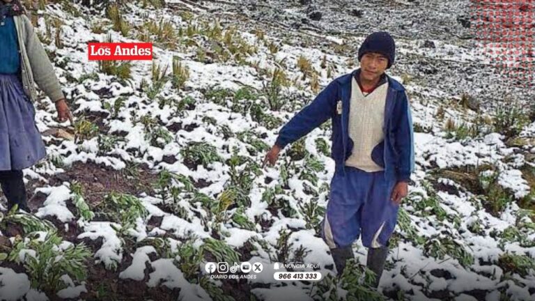 Huancayo: Heladas en Junín amenazan el sustento de 259 mil ganaderos