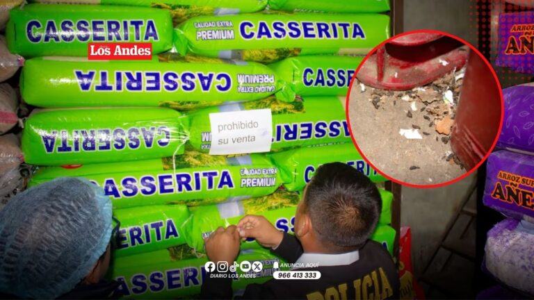 Huancayo: Hallan excretas de roedores en tiendas de alimentos durante operativo