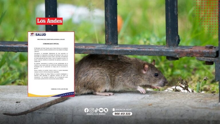 Venezuela confirma tres muertes por hantavirus