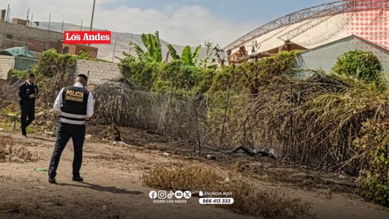 Hallan cuerpo calcinado tras incendio en cañaveral de Camaná y Policía investiga el caso