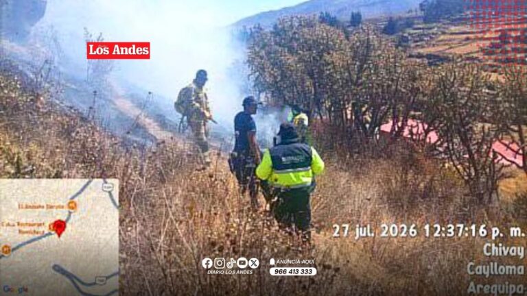 Incendio forestal destruye 15 hectáreas de vegetación en Chivay