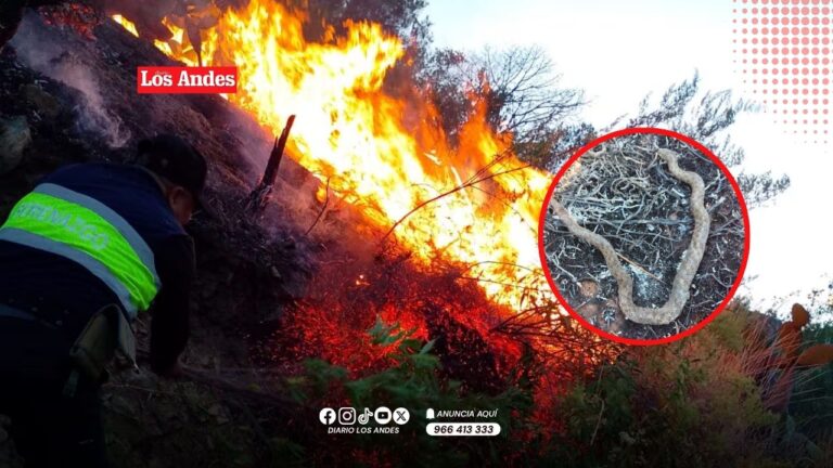 Cusco enfrenta hasta 10 incendios forestales simultáneos que afectan cultivos y pastizales