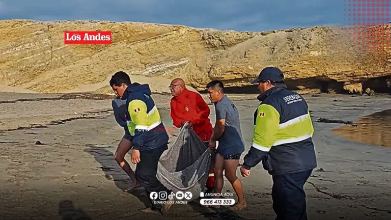 Joven de 25 años muere ahogado en playa Acapulco de Marcona durante feriado