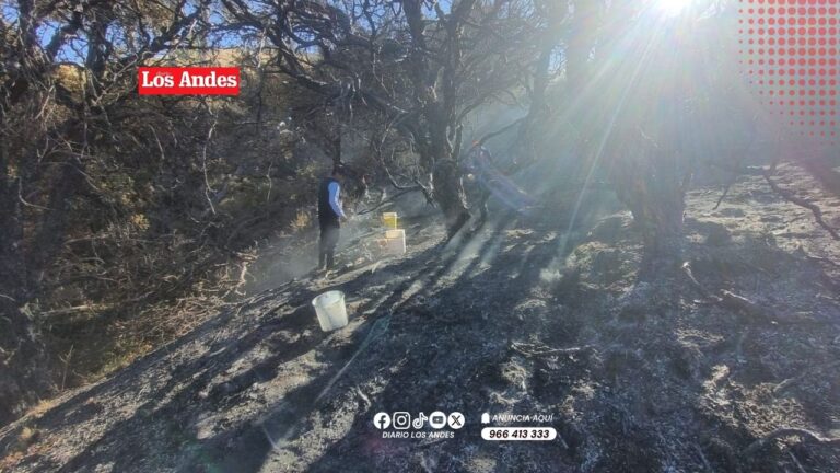 Incendio forestal consume hasta 10 hectáreas de vegetación en Juliaca