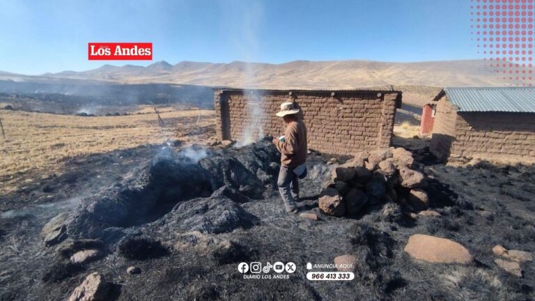 Incendio forestal afecta viviendas y  hectáreas de pastizales en Kelluyo
