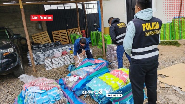 Incautan mercadería de S/ 6.3 millones  tras intervención de vehículo en Puno