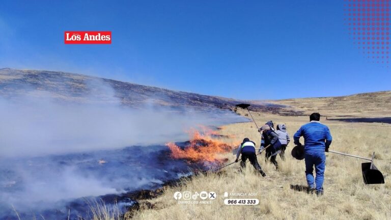 Tres provincias de Puno registran muy alto peligro de incendios forestales