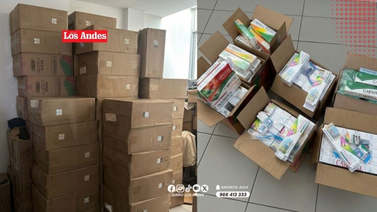 Cigarrillos ilegales enviados desde la frontera de Puno son hallados en Lima