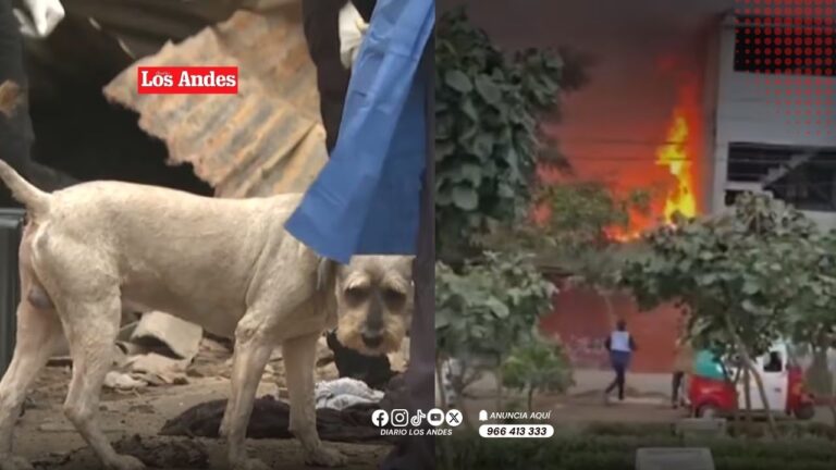 Mujer muere calcinada tras incendio en Villa María del triunfo