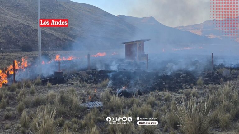 Incendio forestal afecta cinco hectáreas de pastos naturales en Ocuviri