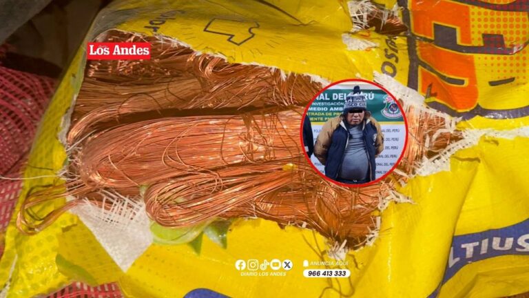 Intervienen vehículo con presunto mineral sin acreditar procedencia en Juliaca