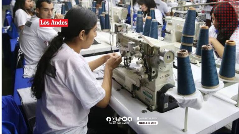 97.9 % de las empresas en Puno son Mypes que impulsan la economía según REDES