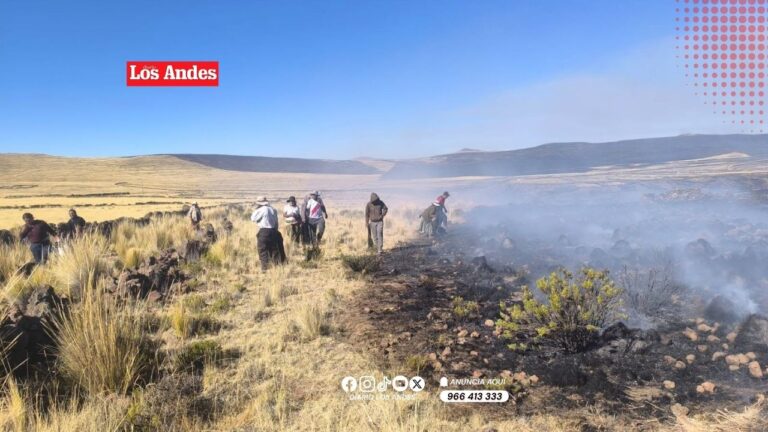 Incendio forestal en Tiquillaca afectó 1 500 hectáreas y 10 viviendas