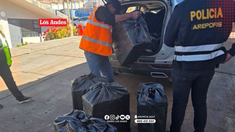 Detienen a conductor con cargamento de cigarrillos valorizado en S/165 mil en Juli
