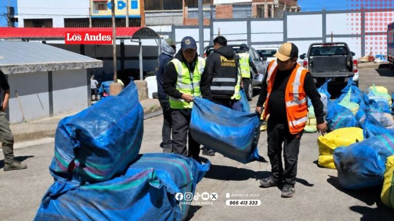 Incautan 40 bultos de “cachina” ocultos entre montículos de tierra en Santa Rosa