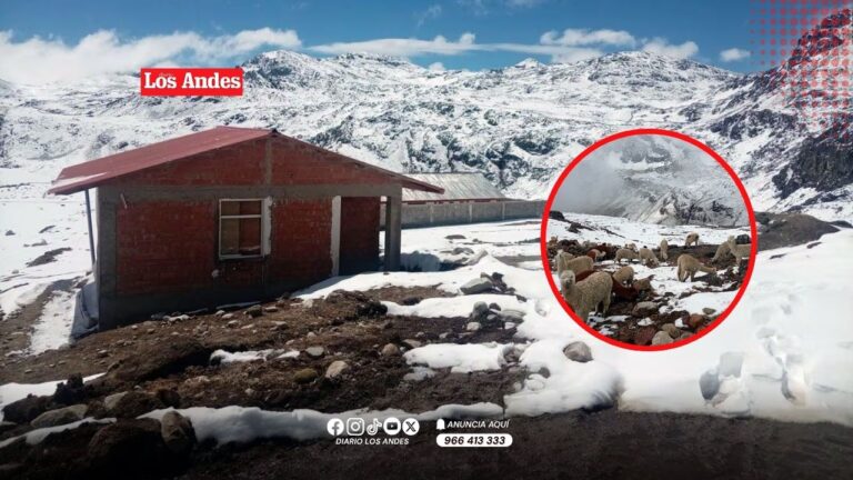 Nevadas intensas afectan zonas altas de Cusco por condiciones asociadas a la DANA Aníbal