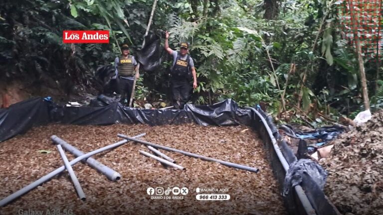 Huánuco: Policía destruye laboratorio de PBC y detiene a presuntos integrantes de “Los Castores”