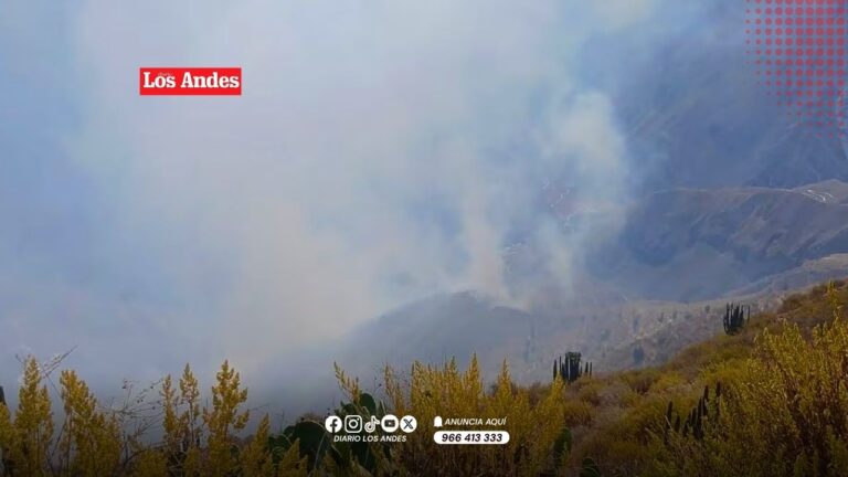 Incendio forestal afecta flora y fauna en Cabanaconde