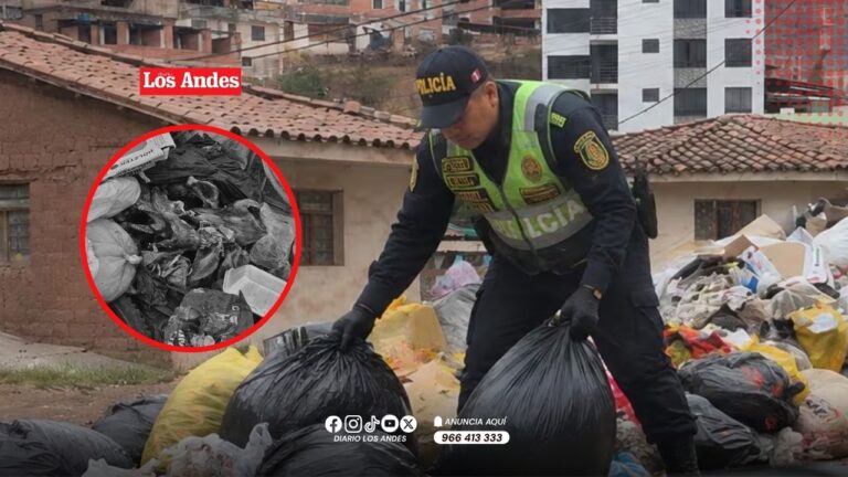 Oxapampa: Joven madre muere atropellada tras choque de motocicletas