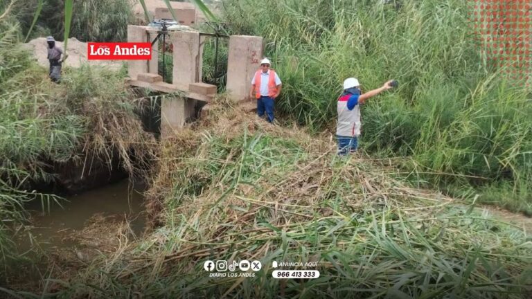 Pisco: fuertes vientos afectan 150 hectáreas de cultivos de maíz en Humay