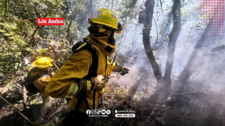 Incendio forestal en Machu Picchu fue liquidado tras operativo del Sernanp