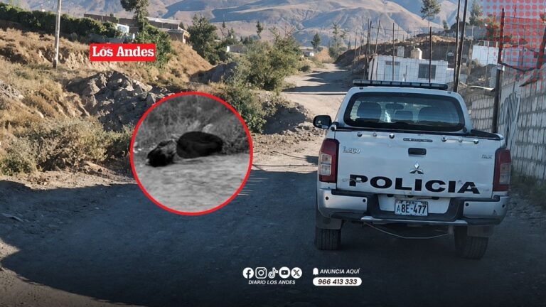 Hallan cadáver de un varón a un costado de la vía en la parte alta de Cayma