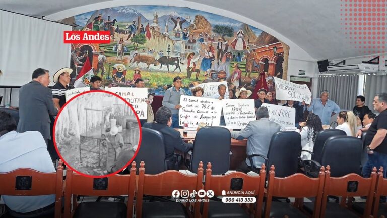 Deuda de S/6 millones a Sedapar pone en riesgo abastecimiento de carne en Arequipa