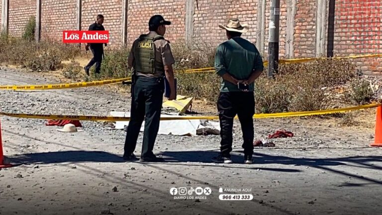 Anciana fallece tras ser atacada por dos perros rottweiler en el sector de Umapalca