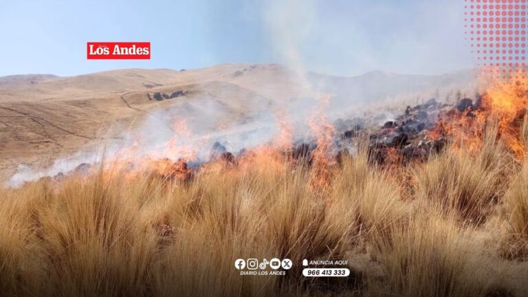 Incendio forestal arrrasa pastizales en Cayarani y pone en riesgo alimento de alpacas y ganado