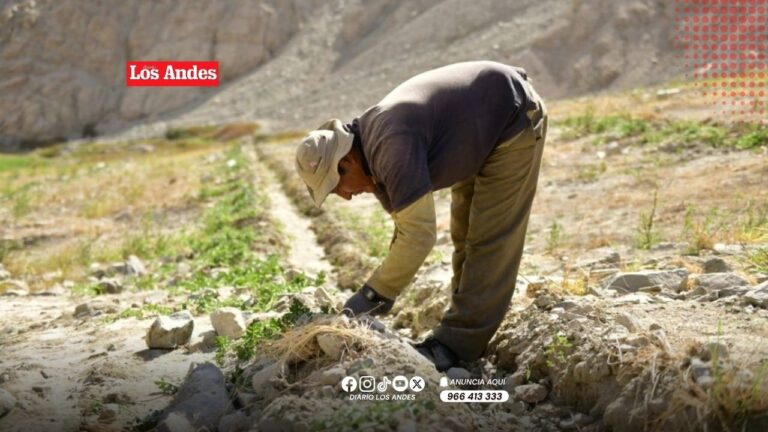 Declaran en emergencia 45 distritos de Arequipa por peligro inminente de déficit hídrico