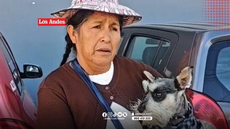 Mujer se reencuentra con su perro tras cuatro días de búsqueda en Arequipa