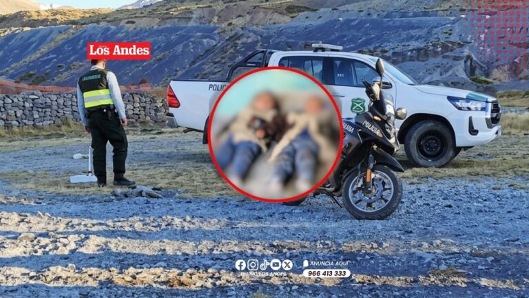 Gemelos de 4 años mueren tras ser presuntamente envenenados por su madre en Yunguyo