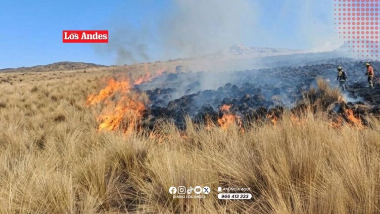 Incendio forestal afecta 100 hectáreas de pastos naturales en Lampa