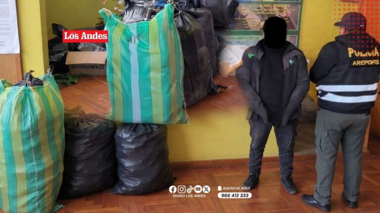 Incautan “cachina” valorizada en S/80 mil durante operativo en Juliaca