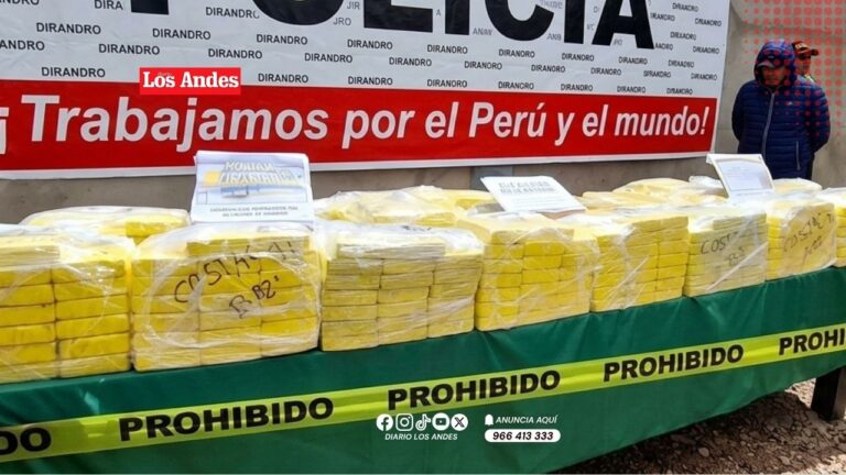 Sentencian a tres sujetos por transportar más de 413 kilos de cocaína hacia Juliaca